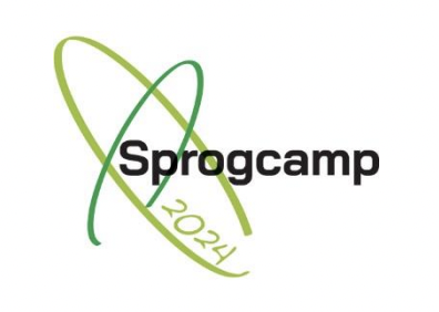 VG deltog i Sprogcamp 2024 på Hjørring Gymnasium